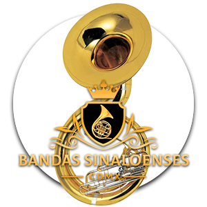 banda sinaloense trombon